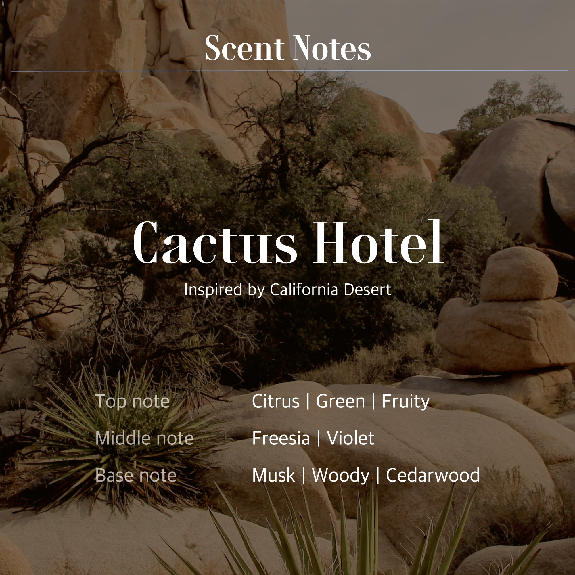 Cactus Hotel Hand Wash