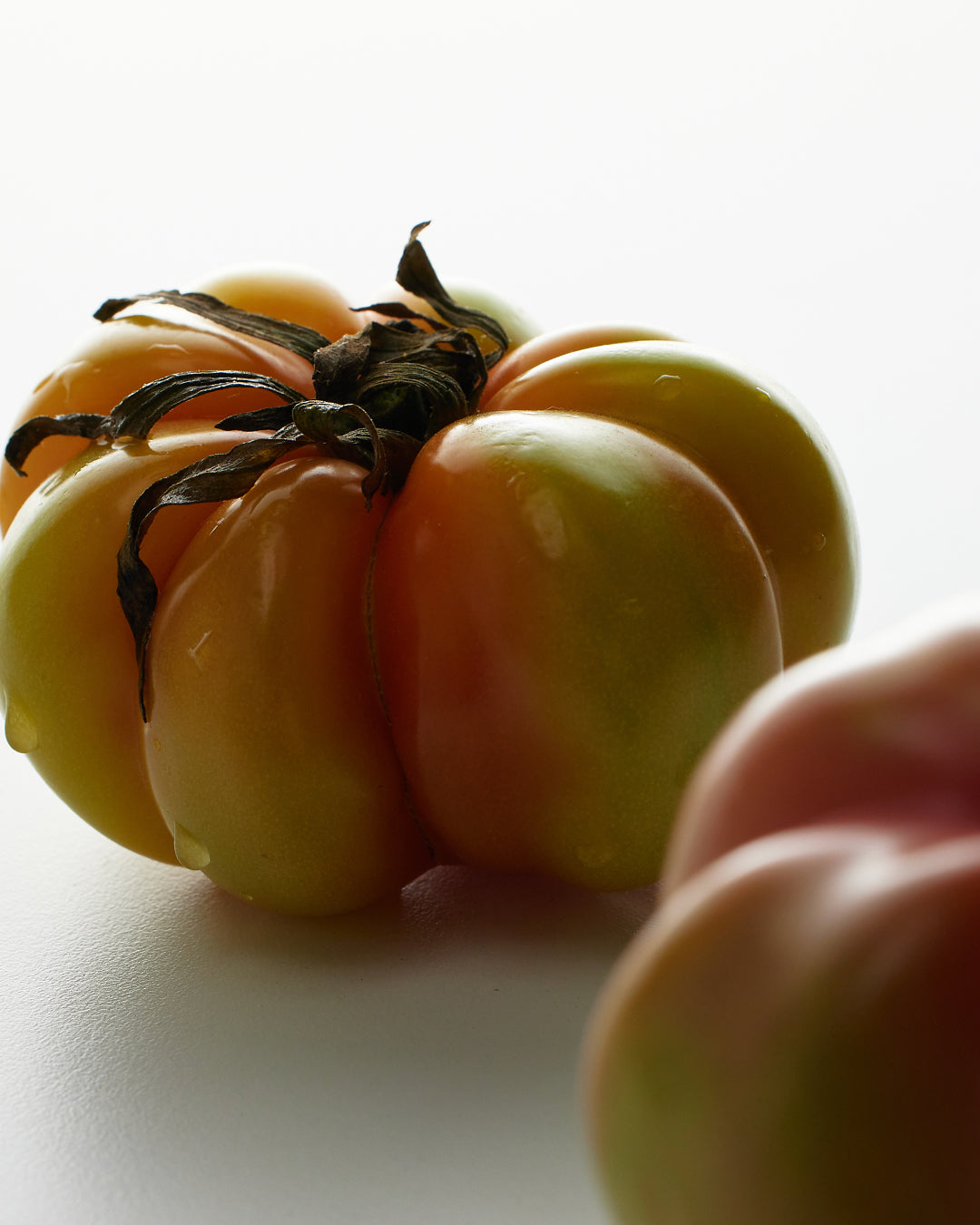 Tomato Garden