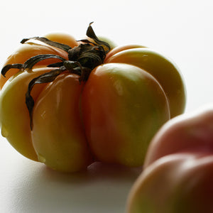 Tomato Garden